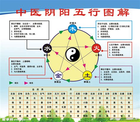 四季五行|五行